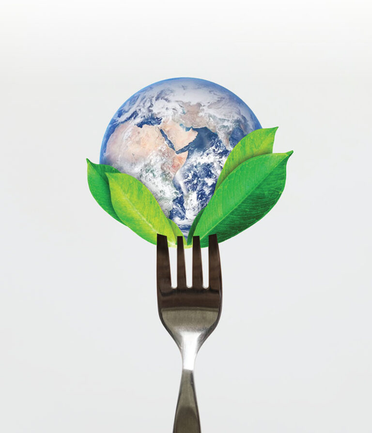 Menus as a Climate Solution: Rethinking Food in Health Care